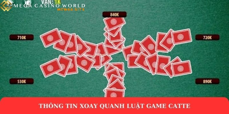 Cách chơi bài Catte chi tiết mà người tham gia cần nắm rõ 3 Thông tin xoay quanh luật game Catte