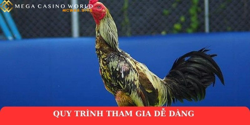 Đá gà mạng – Cuồng nhiệt từng trận, bứt phá mọi giới hạn 4 Quy trình tham gia dễ dàng
